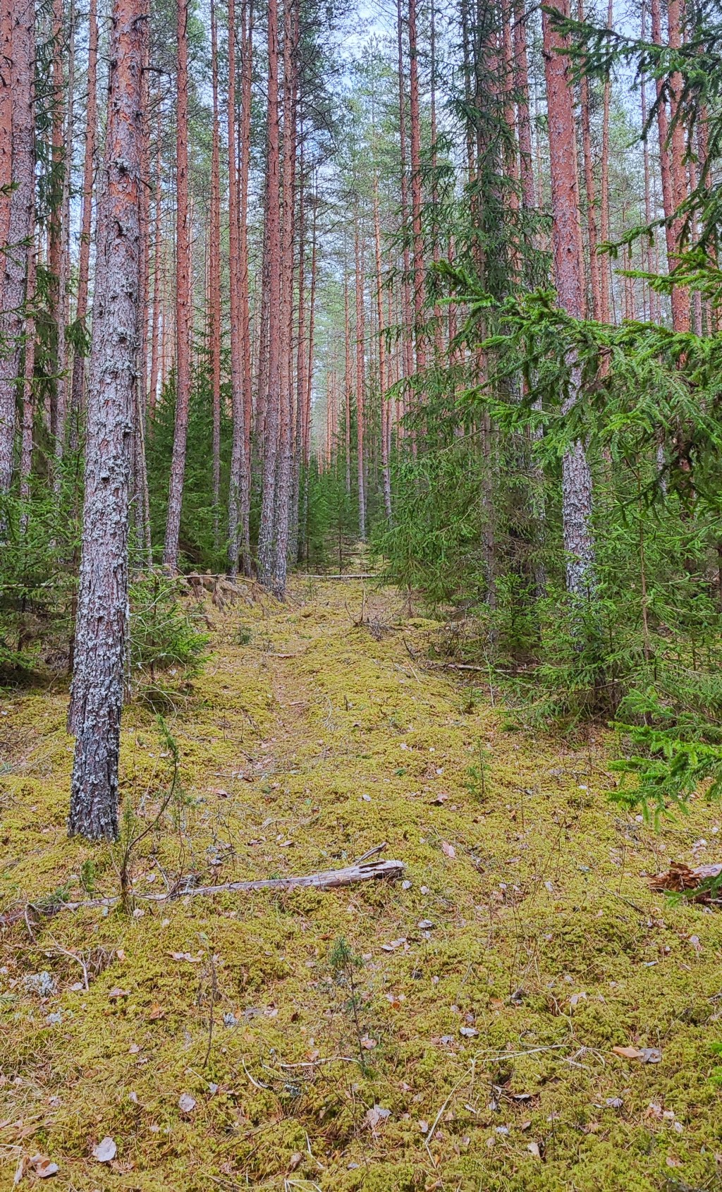 The Power of Grounding: Connect with the Earth to Reduce Stress, Improve Health, and Increase&nbsp;Energy
