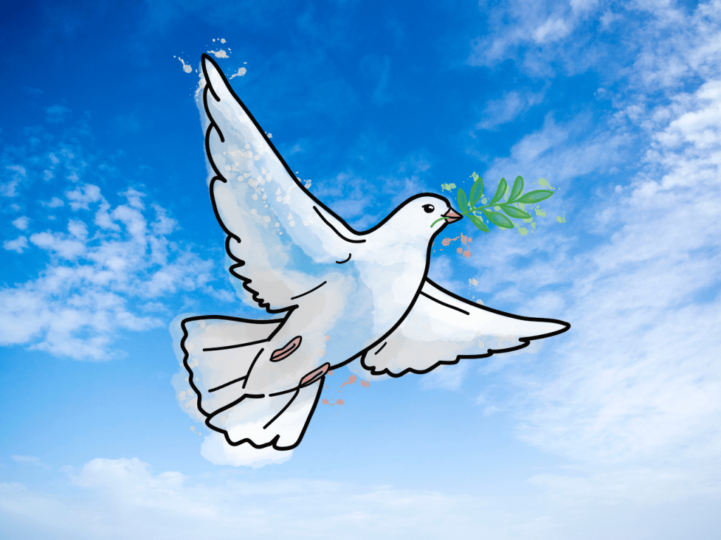 The Illusion of Freedom – My Personal&nbsp;Awakening