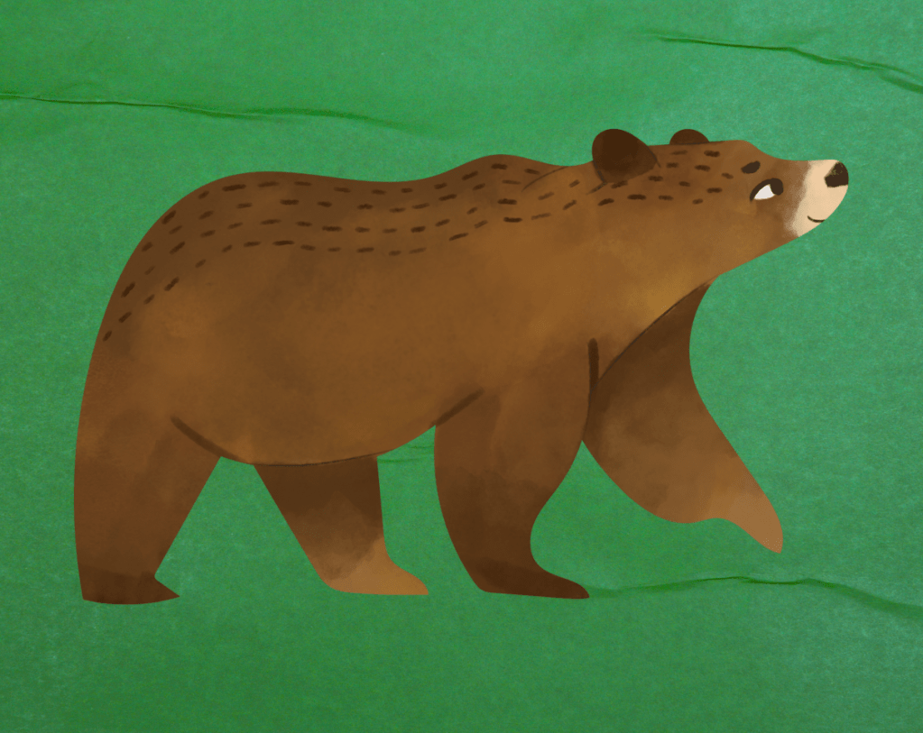 The Spirit of Brother Bear: A Story That Raised&nbsp;Me