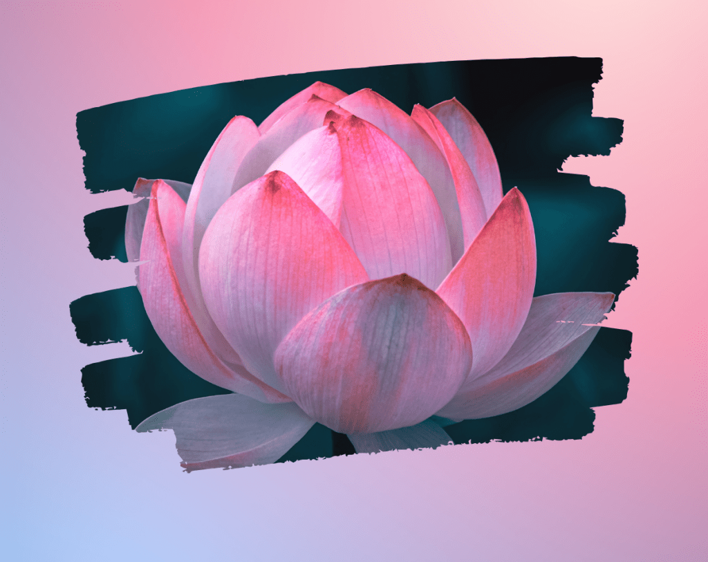 My Journey Through Spiritual Silence, Kundalini Hints, and a Blooming&nbsp;Lotus