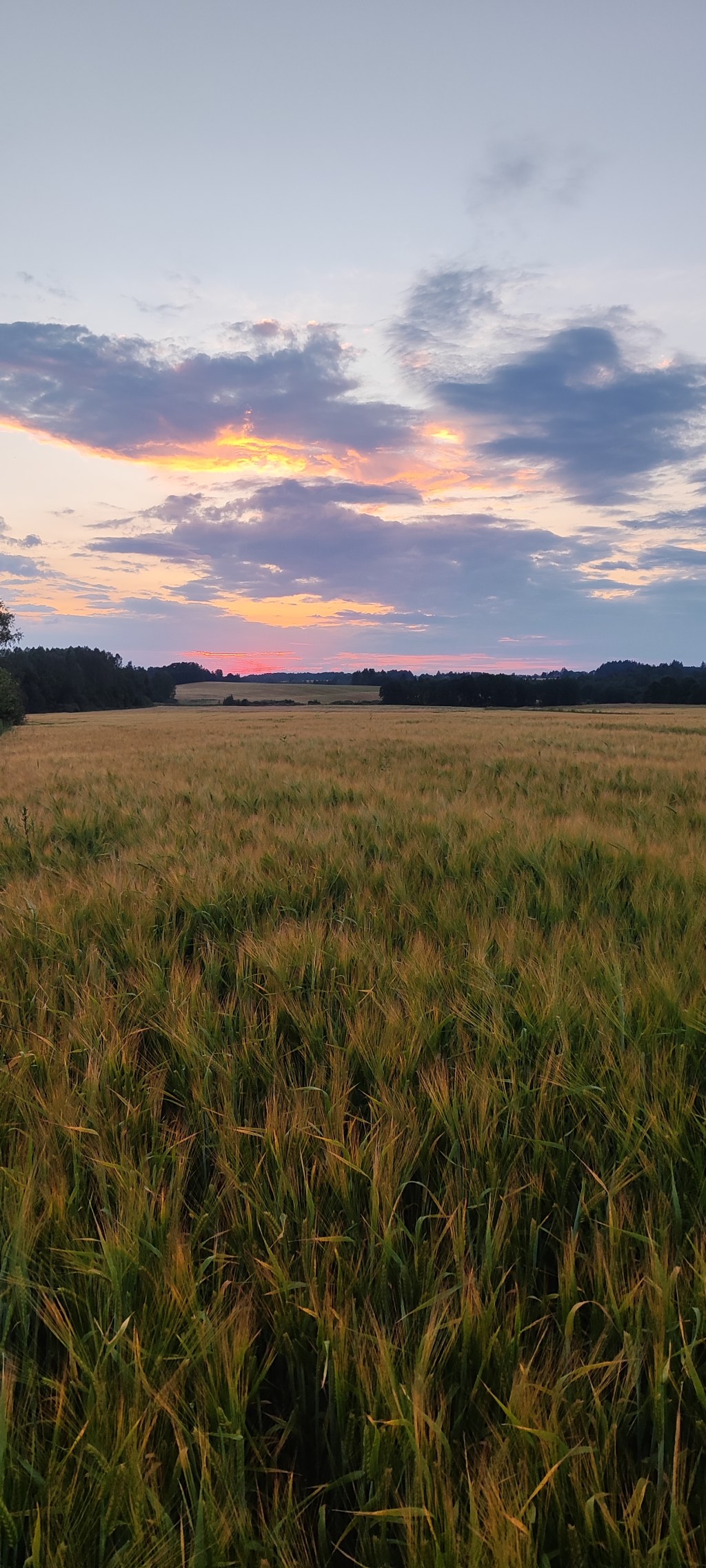 Understanding Psychological Archetypes